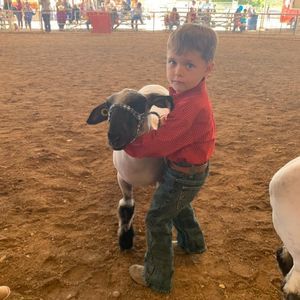 Meet your Posher, Niki